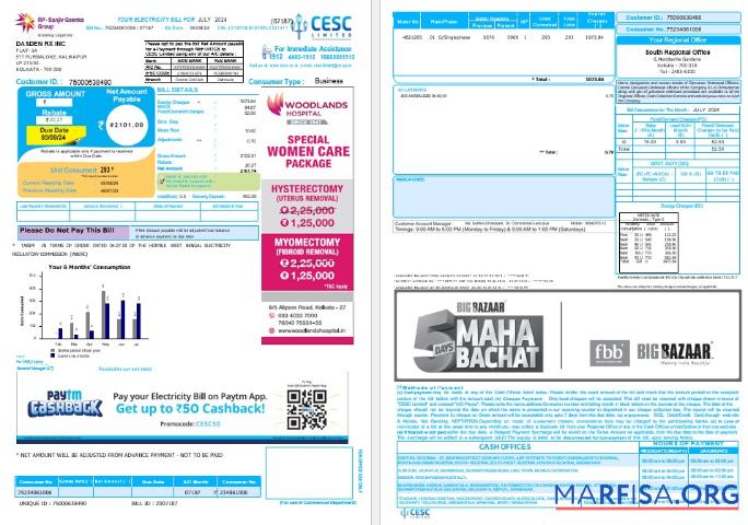 Realistic INDIA CESC LIMITED business utility bill Word and PDF example